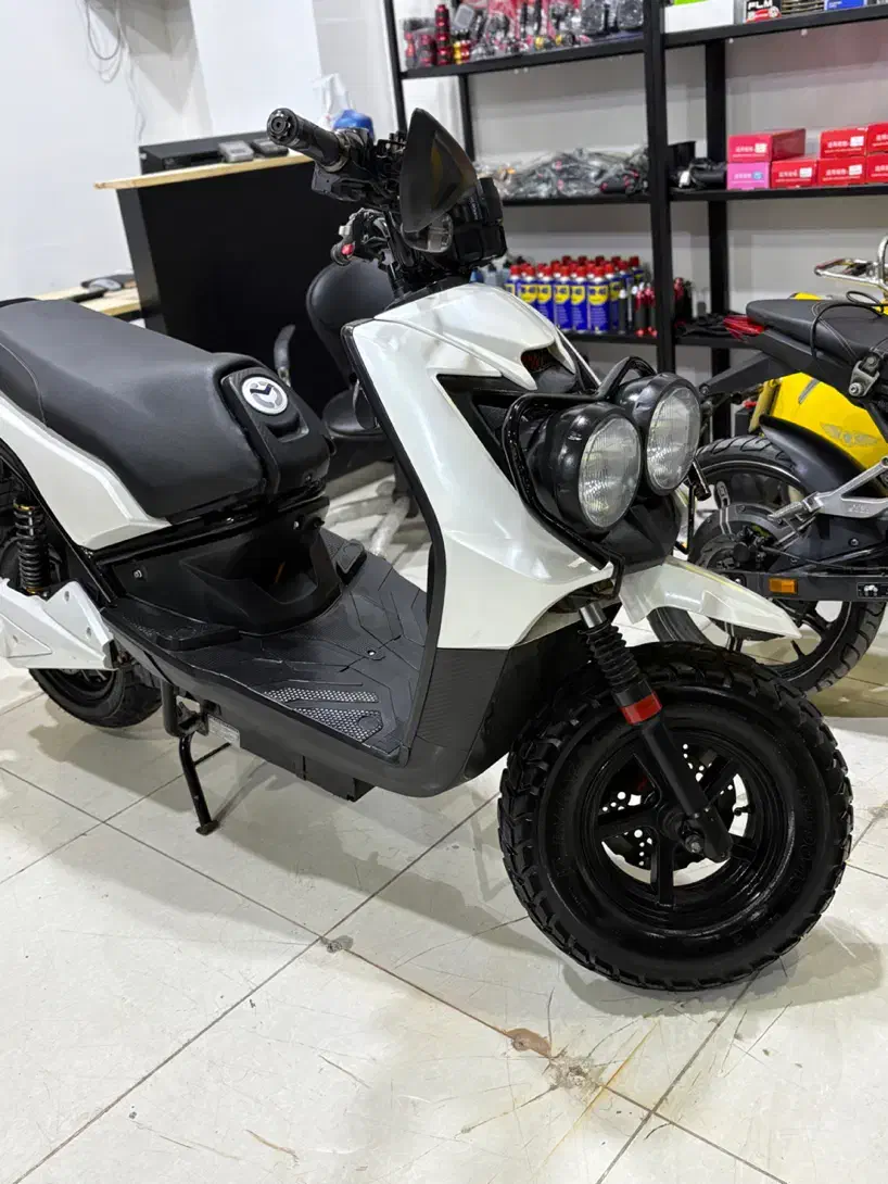 سافاری لیتیوم  زیر خاکی|موتورسیکلت|کیش, |دیوار