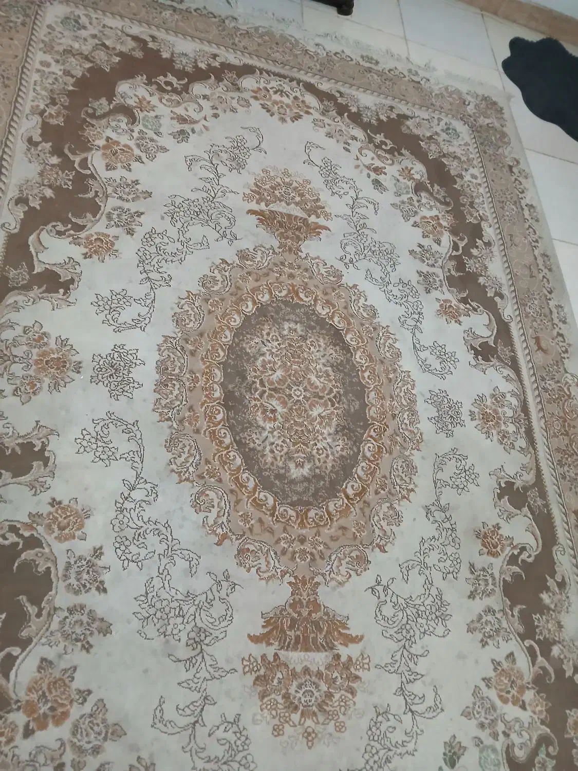 فرش ۶ متری|فرش|رشت, معلولین|دیوار