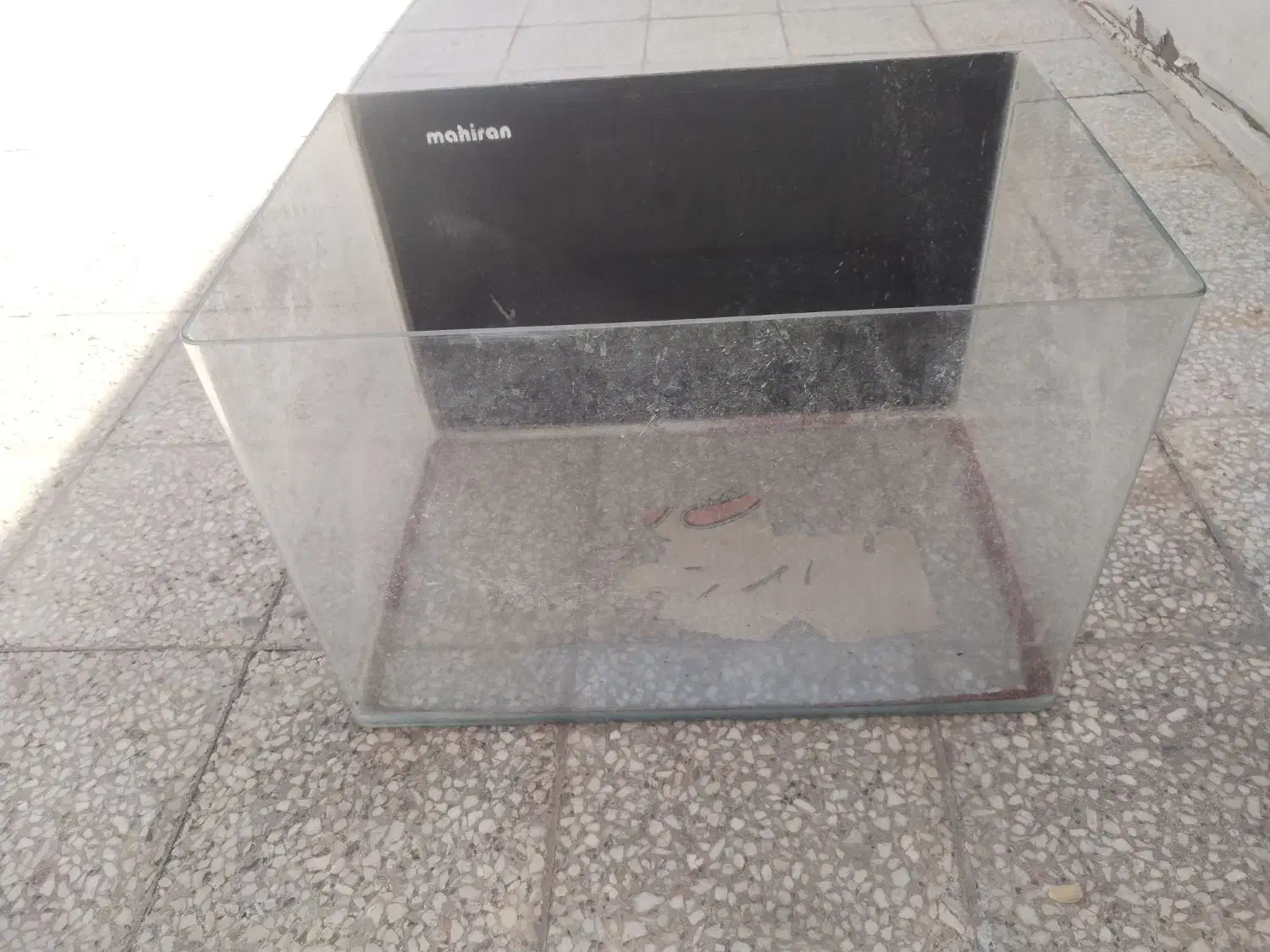 آکواریوم شیشه خم و معمولی|ماهی|سمنان, |دیوار