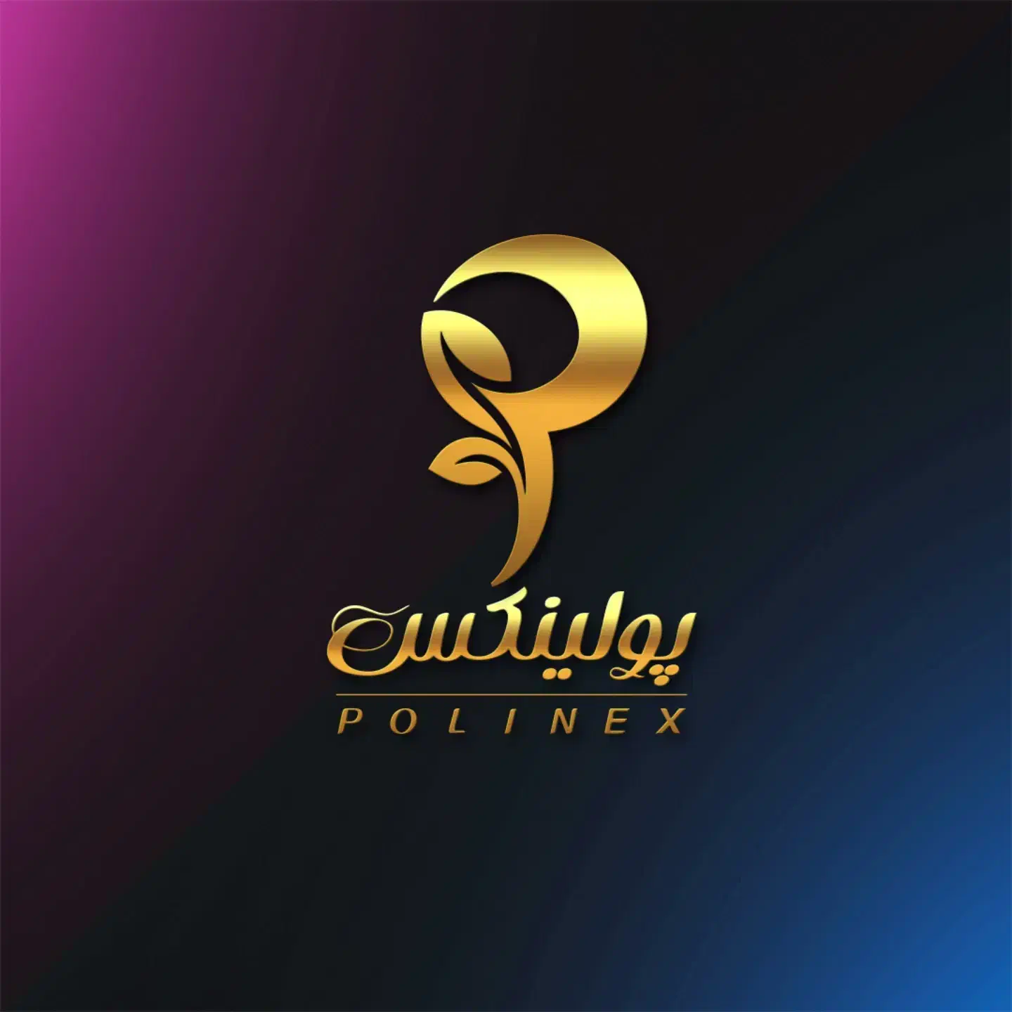 فروش عمده نایلکس|ظروف نگهدارنده، پلاستیکی، یکبارمصرف|سقز, |دیوار