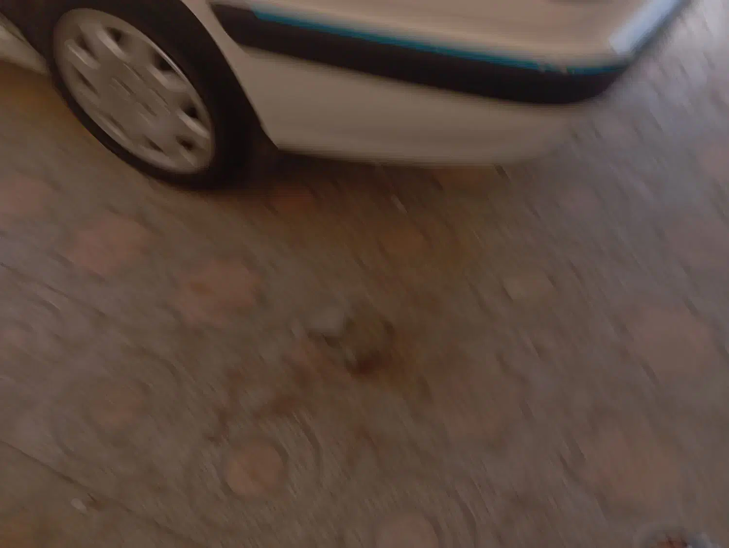 پارس سال 1400|خودرو سواری و وانت|بندرعباس, |دیوار