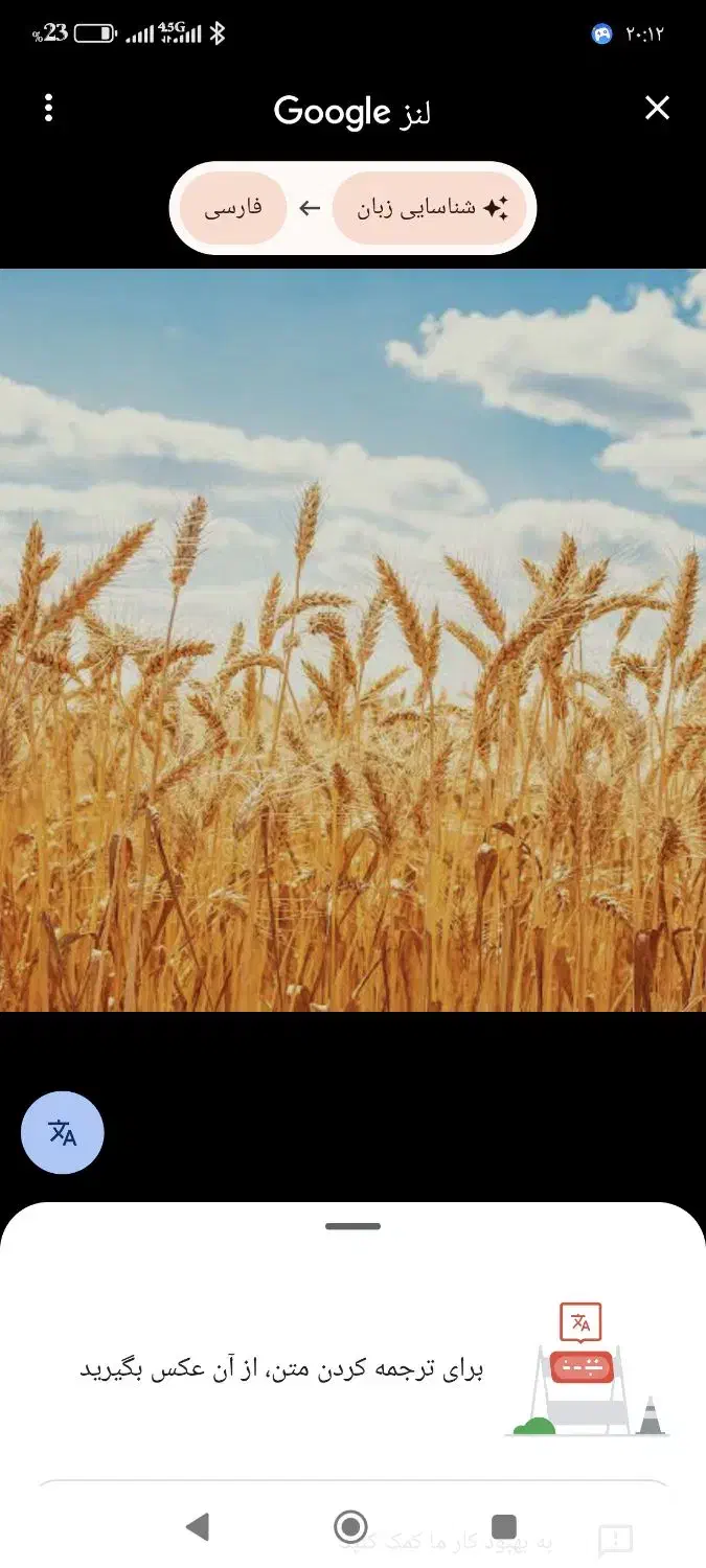 گندم گواهی شده سالار|گل و گیاه طبیعی|اردبیل, |دیوار