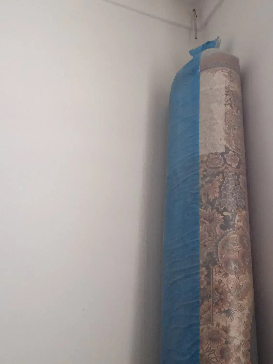 فرش ماشینی|فرش|دامغان, |دیوار