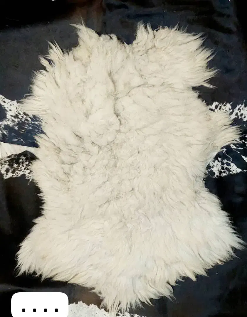 پوست مویی گوسفندی و بزی|آرایشی، بهداشتی، درمانی|قم, رضویه|دیوار