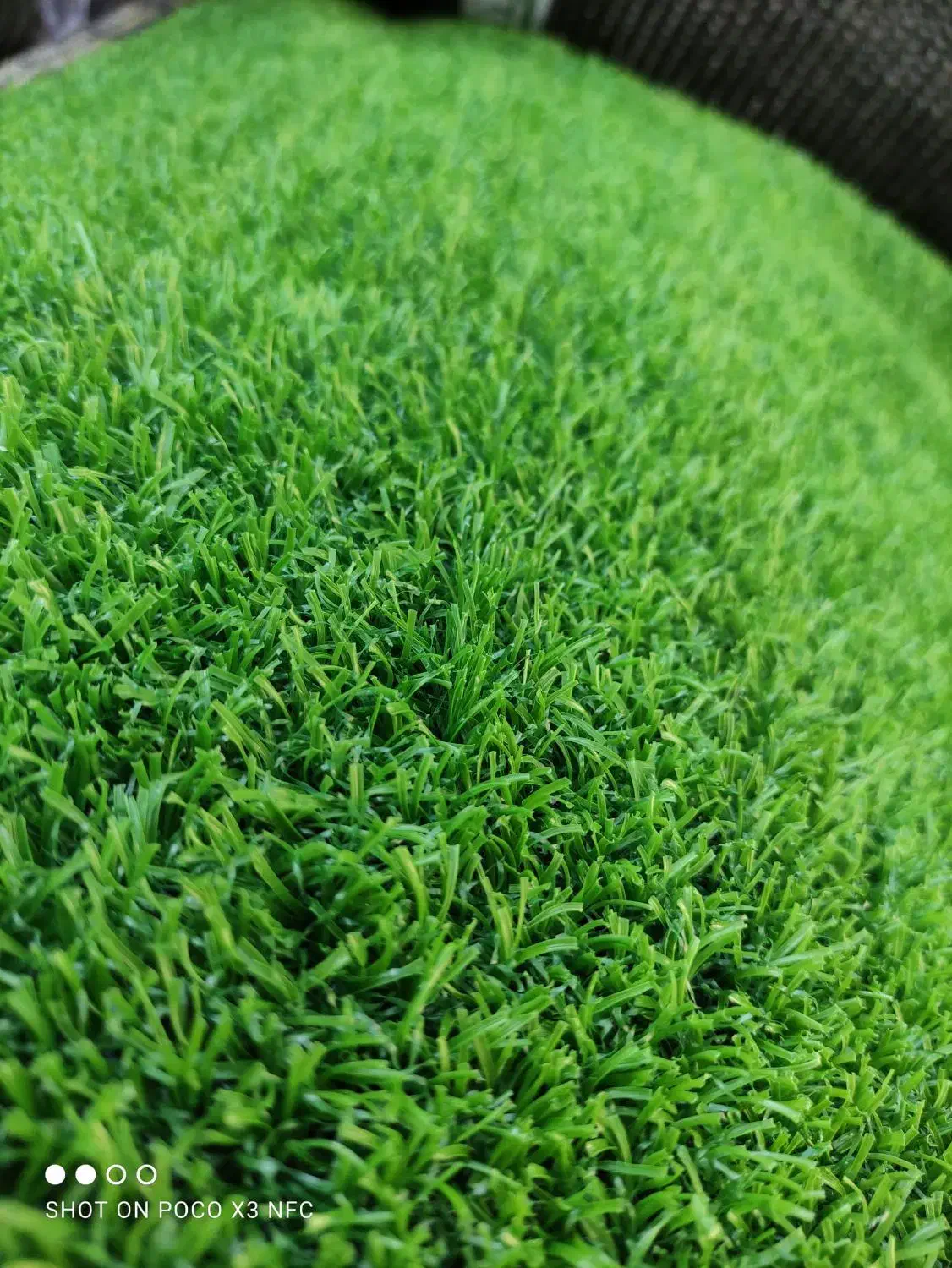 پخش انواع چمن ،فنس برگی رشته ای گرینوال سنگ|عمده‌فروشی|رشت, امین الضرب|دیوار