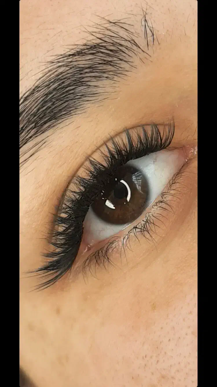 جشنواره اموزش اکستنشن مژه فقط سه میلیون|خدمات آموزشی|اردبیل, |دیوار