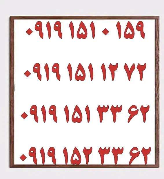 0919.420.20.29|سیمکارت|یزد, |دیوار