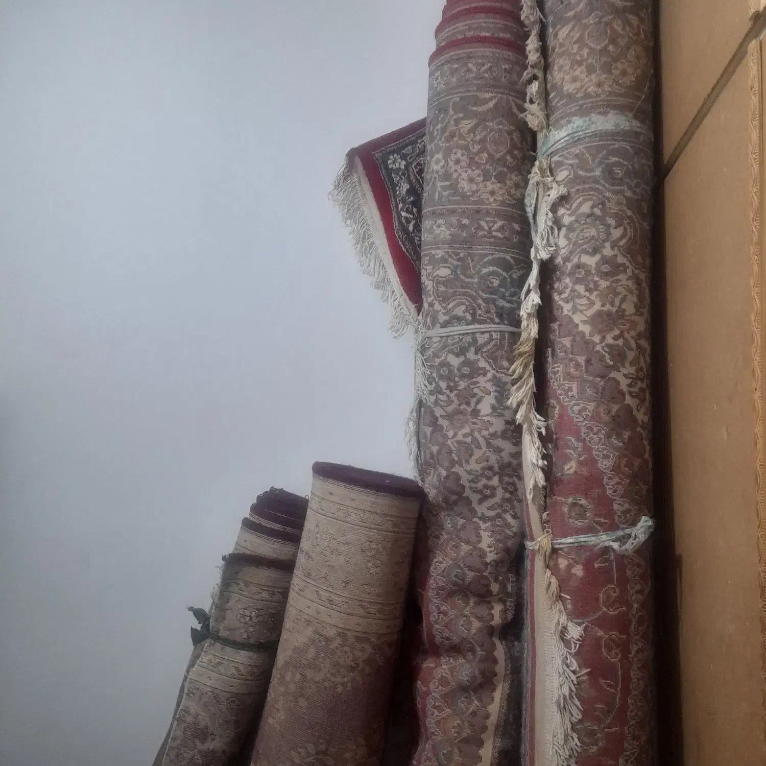 فرش|فرش|سبزوار, قائم|دیوار