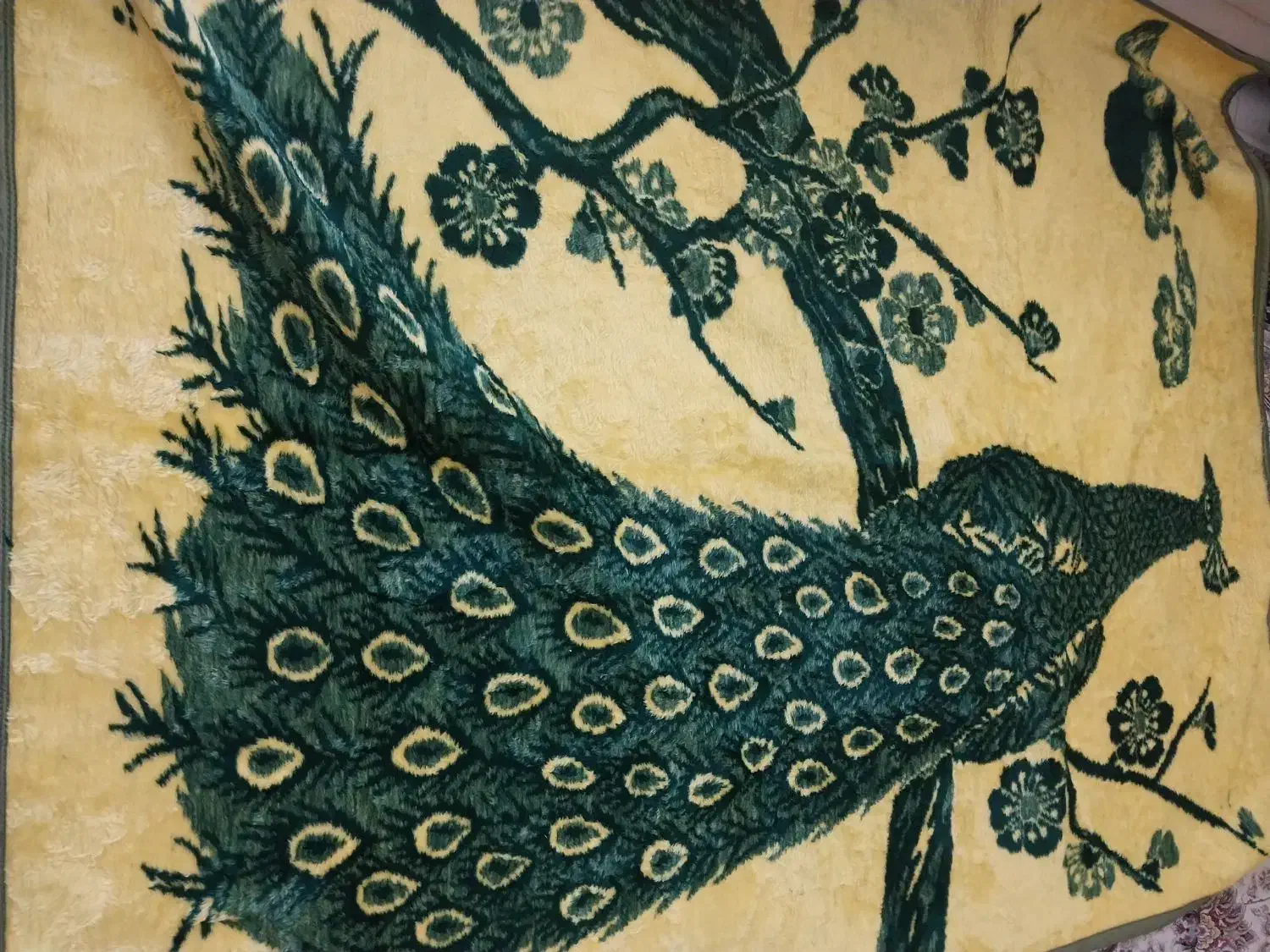 پتو پشمی|رختخواب، بالش، پتو|خمینیشهر, |دیوار