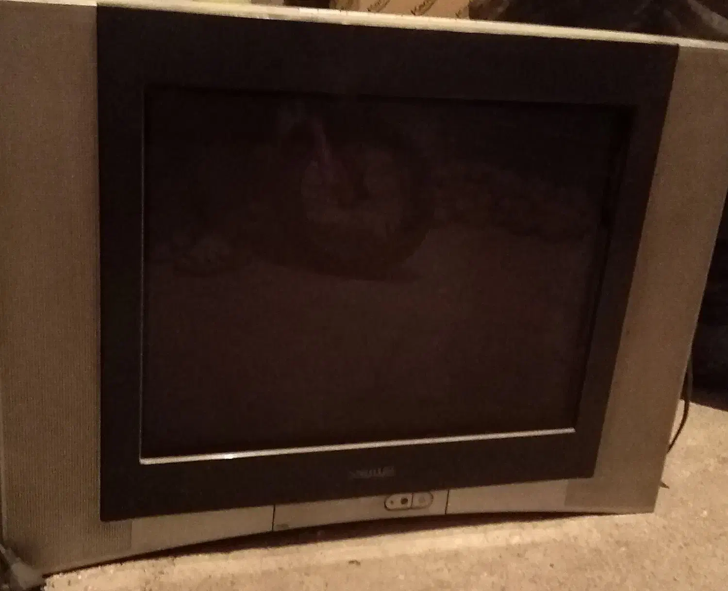 تلویزیون|تلویزیون و پروژکتور|شیروان (خراسان), |دیوار