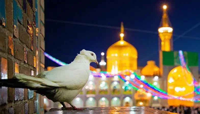 تور زیارتی سیاحتی مشهد مقدس|تور و چارتر|لنگرود, |دیوار