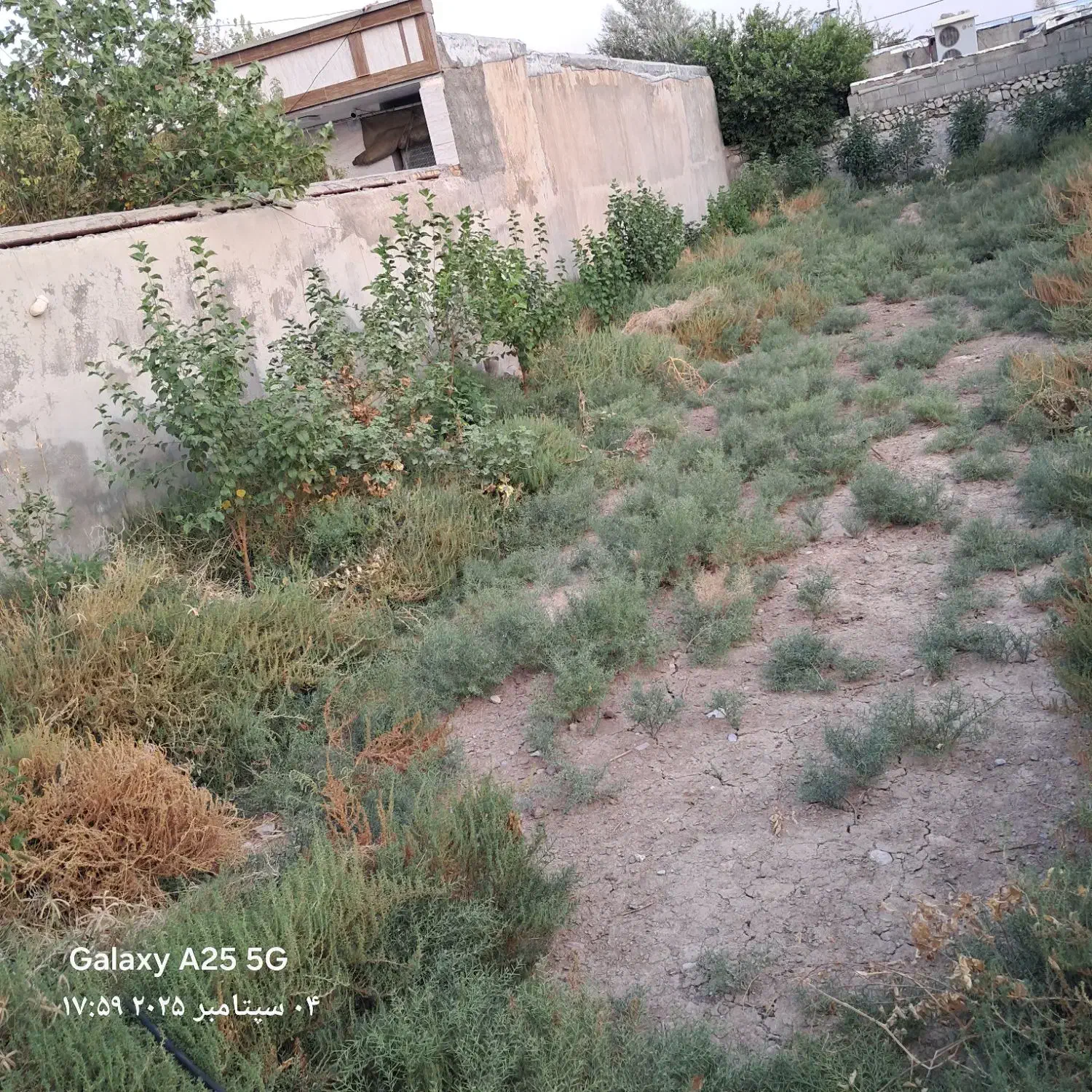 معاوضه زمین۲۶۰متری دارای سندتکبرگ باخودرو اروندی|فروش زمین و ملک کلنگی|باغ ملک, |دیوار