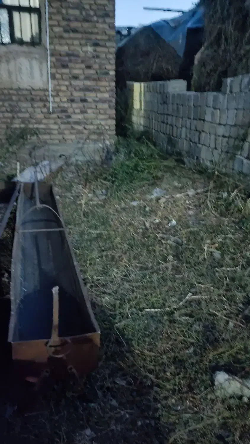 هاخور وآبخوری و بیست متر فنس|لوازم جانبی حیوانات|سیلوانه, |دیوار