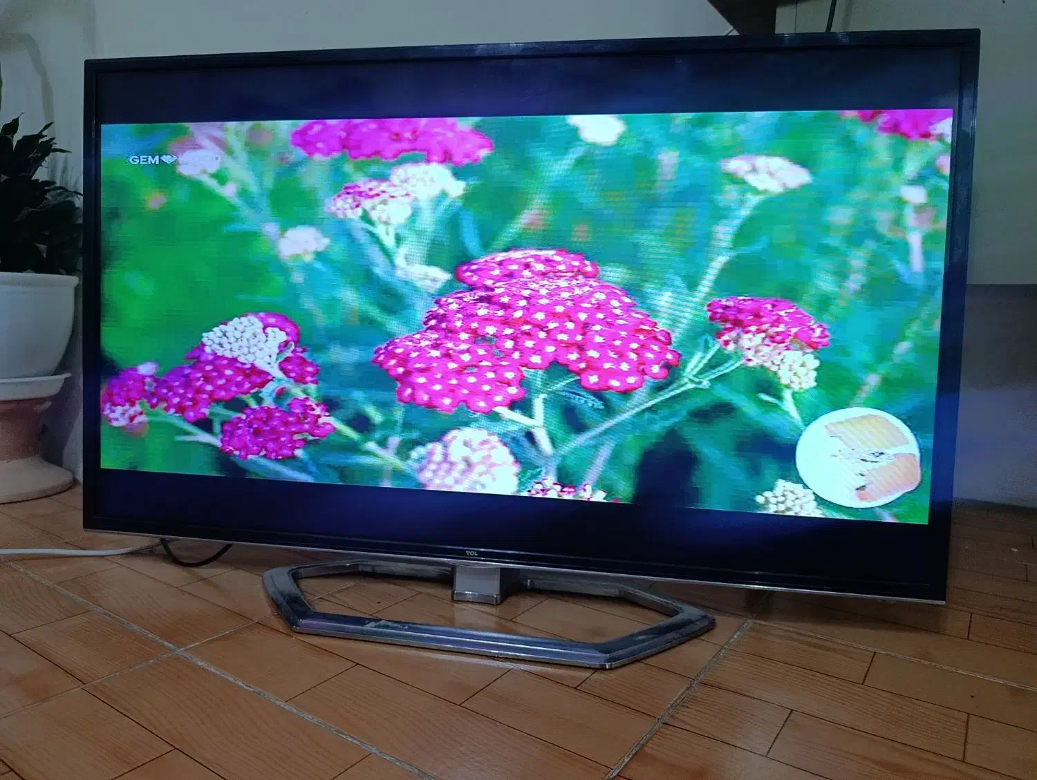 تلویزیون ۴۶اینچ|تلویزیون و پروژکتور|کرمان, |دیوار