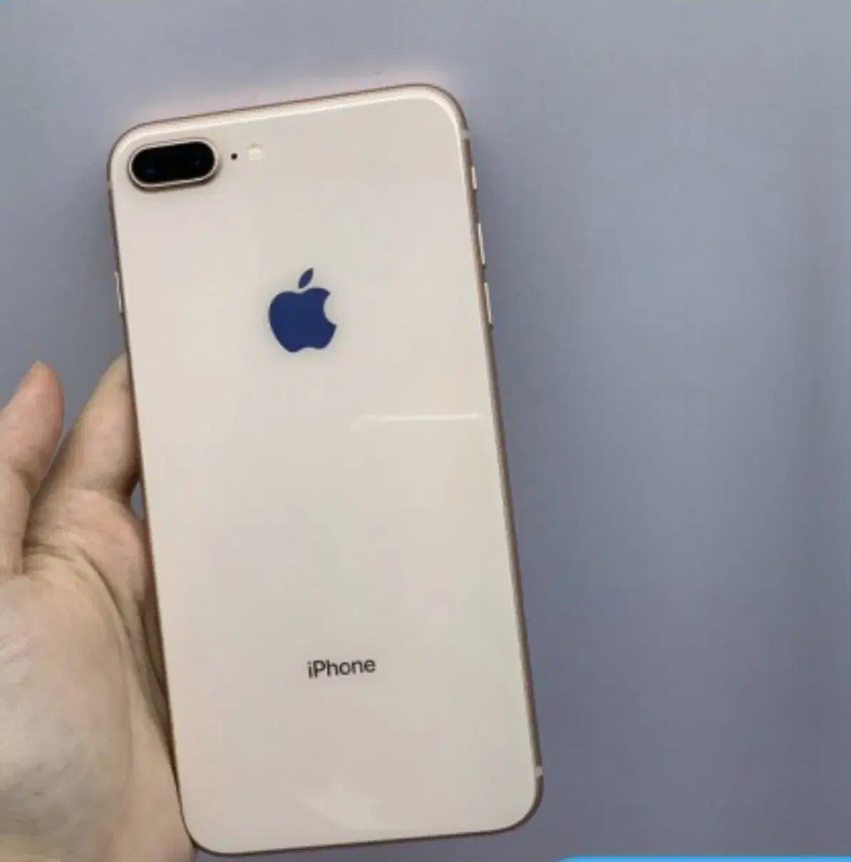 ایفون8پلاس|موبایل|رشت, کوی غلام نیا|دیوار