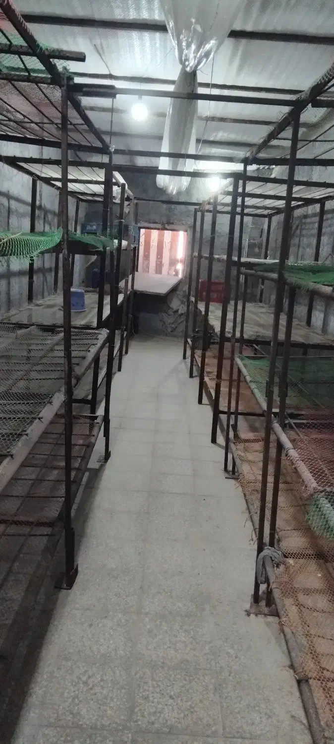 قفسه|ماشین‌آلات صنعتی|تربت‌حیدریه, حاجی یار‎|دیوار