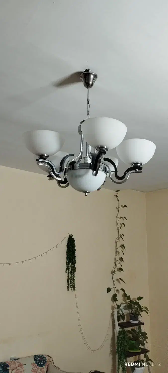 لوستر ۵شاخه|لوستر و چراغ آویز|قزوین, |دیوار