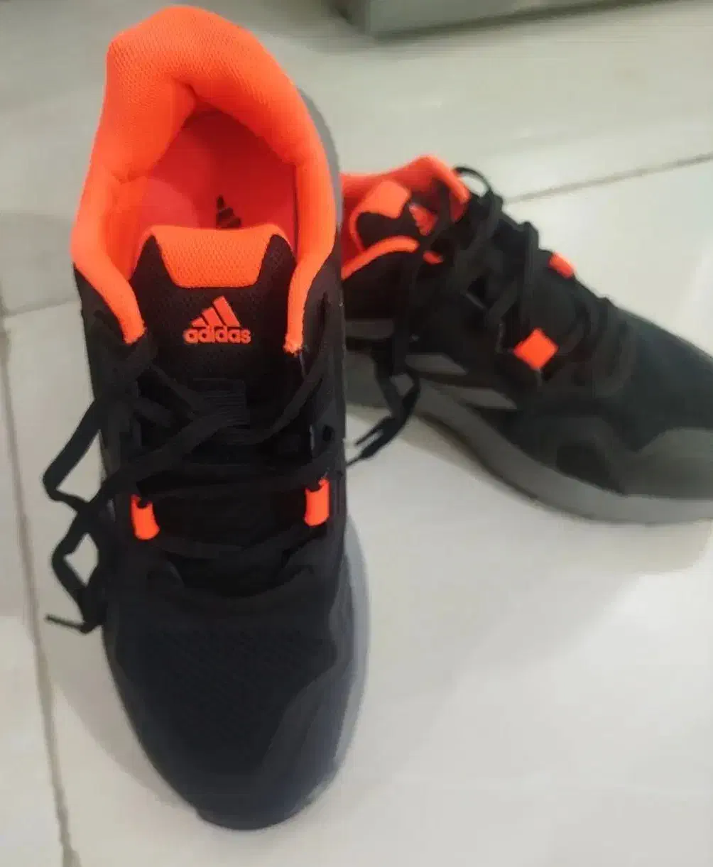 کفش آدیداس TRAXION|کیف، کفش، کمربند|مشهد, ایثارگران|دیوار