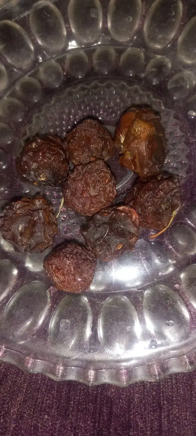 الو خورشتی محلی سمت تبریز|خوردنی و آشامیدنی|منجیل, |دیوار