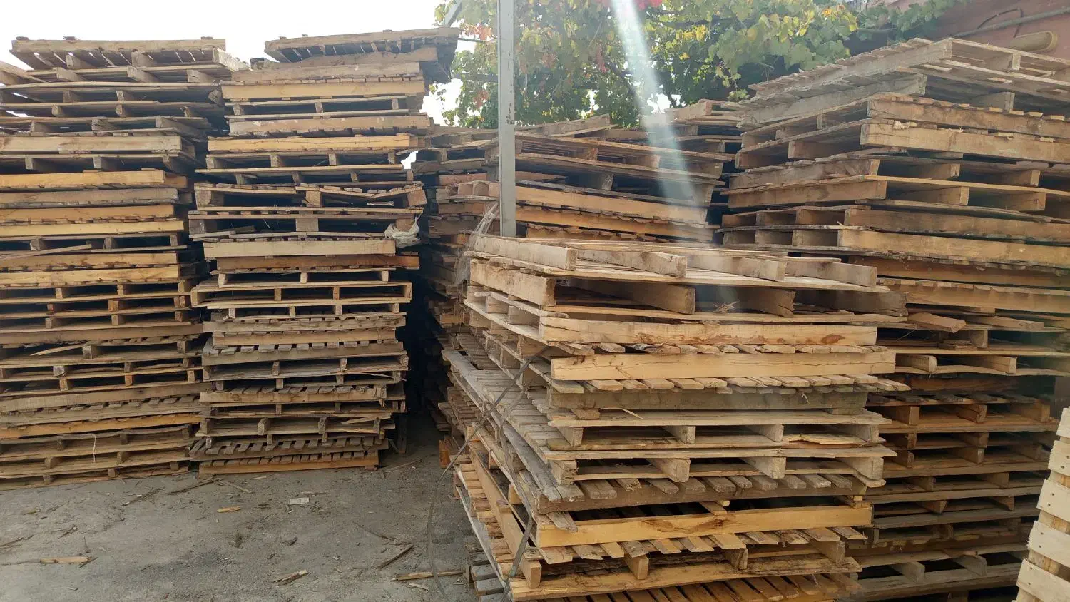 پالت در انواع سایز موجود داریم برای فروش|عمدهفروشی|ربط, |دیوار