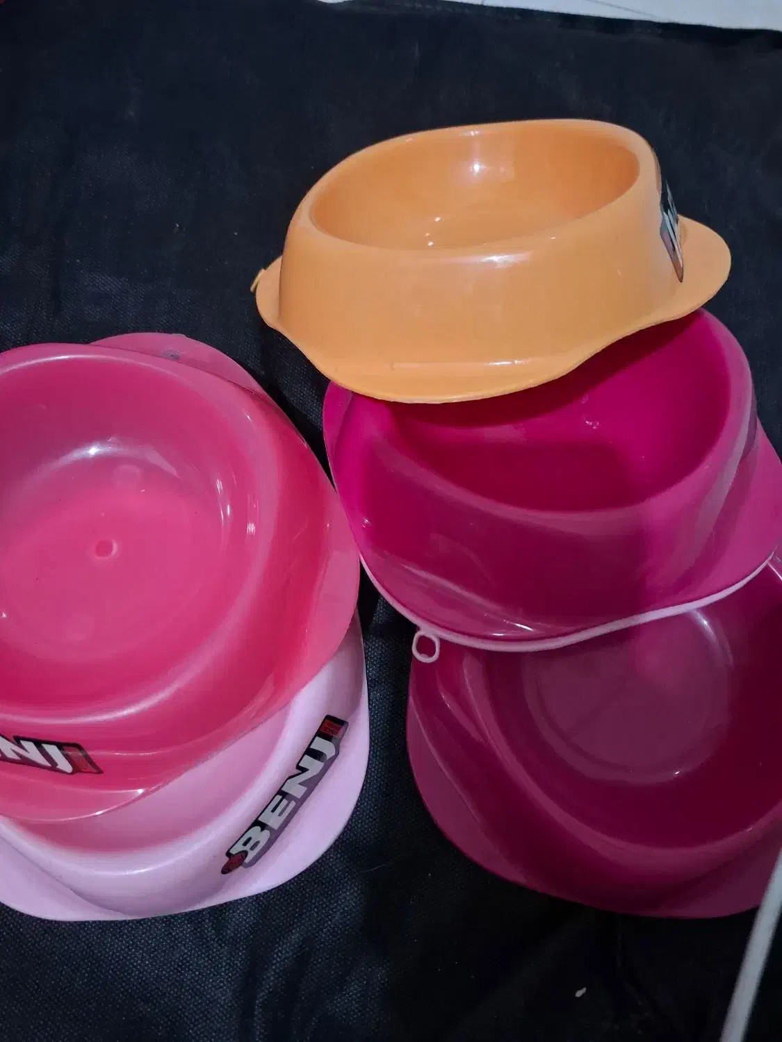 حراج واقعی محصولات پت شاپ|لوازم جانبی حیوانات|رشت, کاکتوس|دیوار