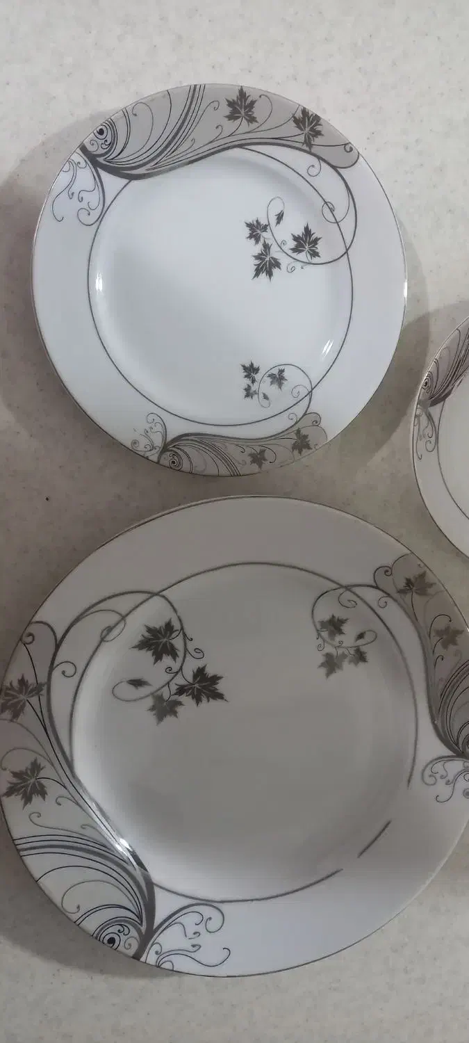 چینی سالم|ظروف سرو و پذیرایی|همدان, |دیوار