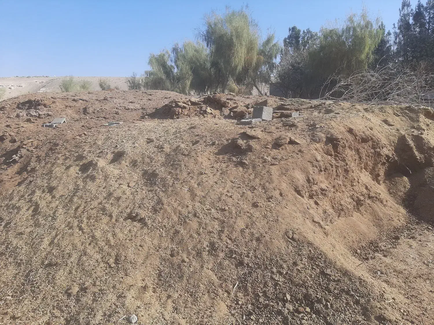 کود گوسفندی|خدمات باغبانی و درختکاری|جلگه ماژان, |دیوار