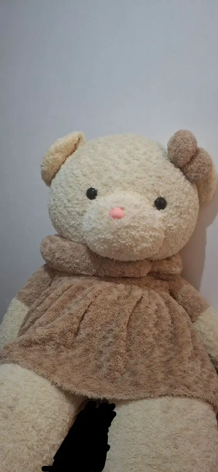 عروسک خرسی بزرگ|اسباب‌‌بازی|تالش, هشتپر|دیوار