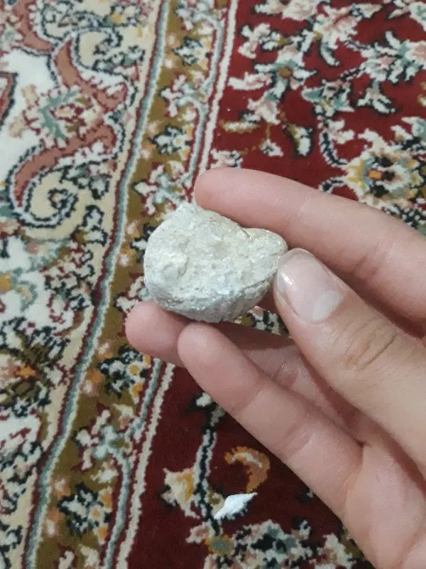 فسیل صدف|کلکسیون اشیاء عتیقه|مسجد سلیمان, |دیوار