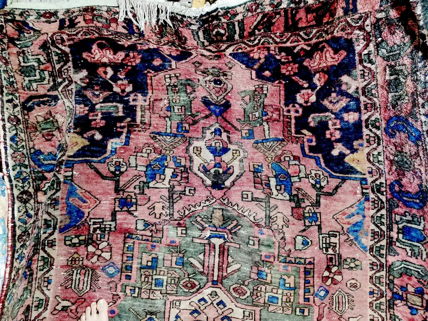 فرش عتیقه|فرش|قم, باجک دو|دیوار