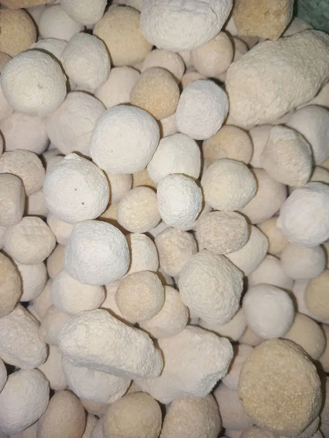 کشک لوبیا ماش|خوردنی و آشامیدنی|هرسین, |دیوار