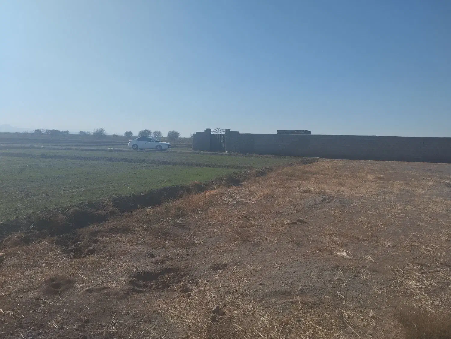 زمین زارعی ایلخچی روستای مهدینلو|فروش زمین و ملک کلنگی|ایلخچی, |دیوار