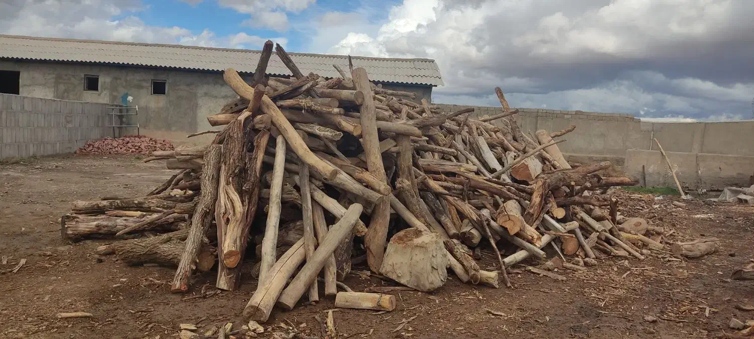 خرید چوب ضایعات چوب|خدمات باغبانی و درختکاری|شاهین دژ, |دیوار