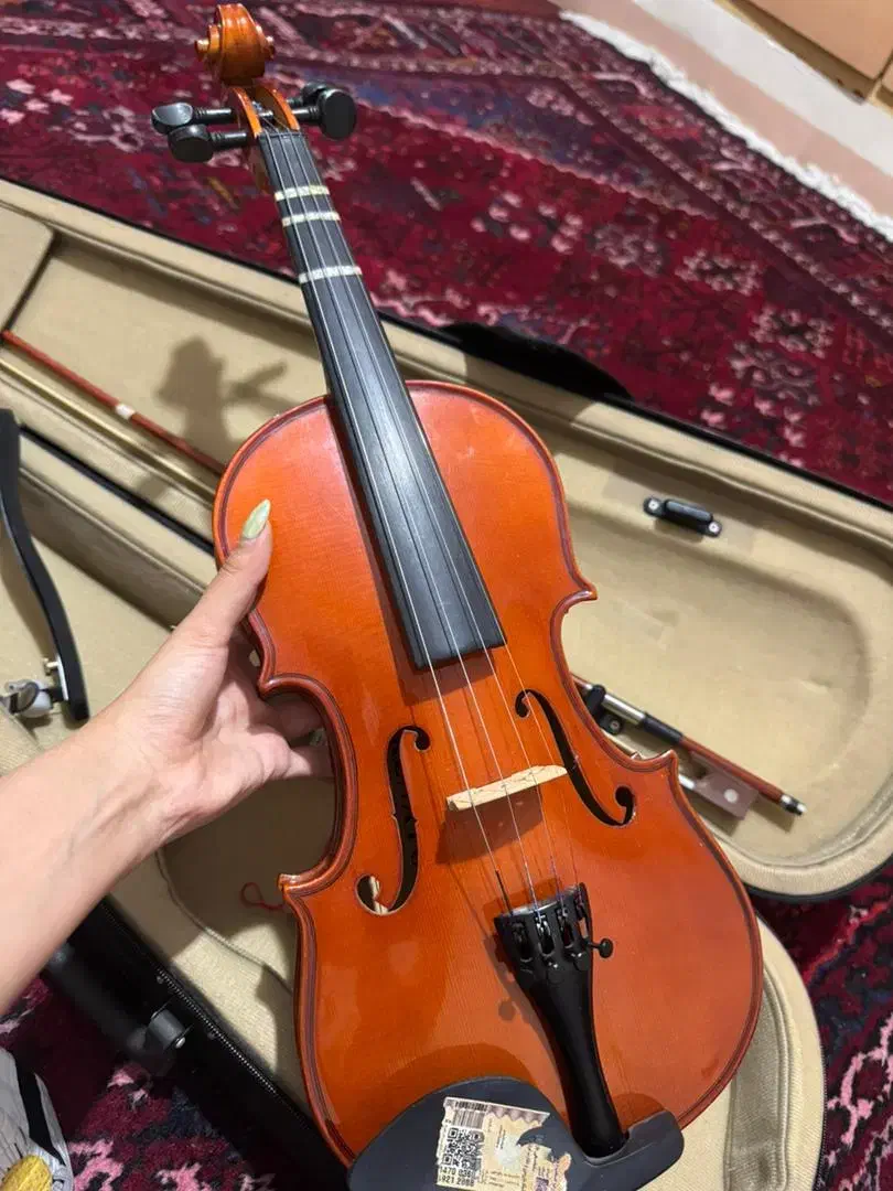 ویالن رناتو|ویولن|گلستان (تهران), |دیوار