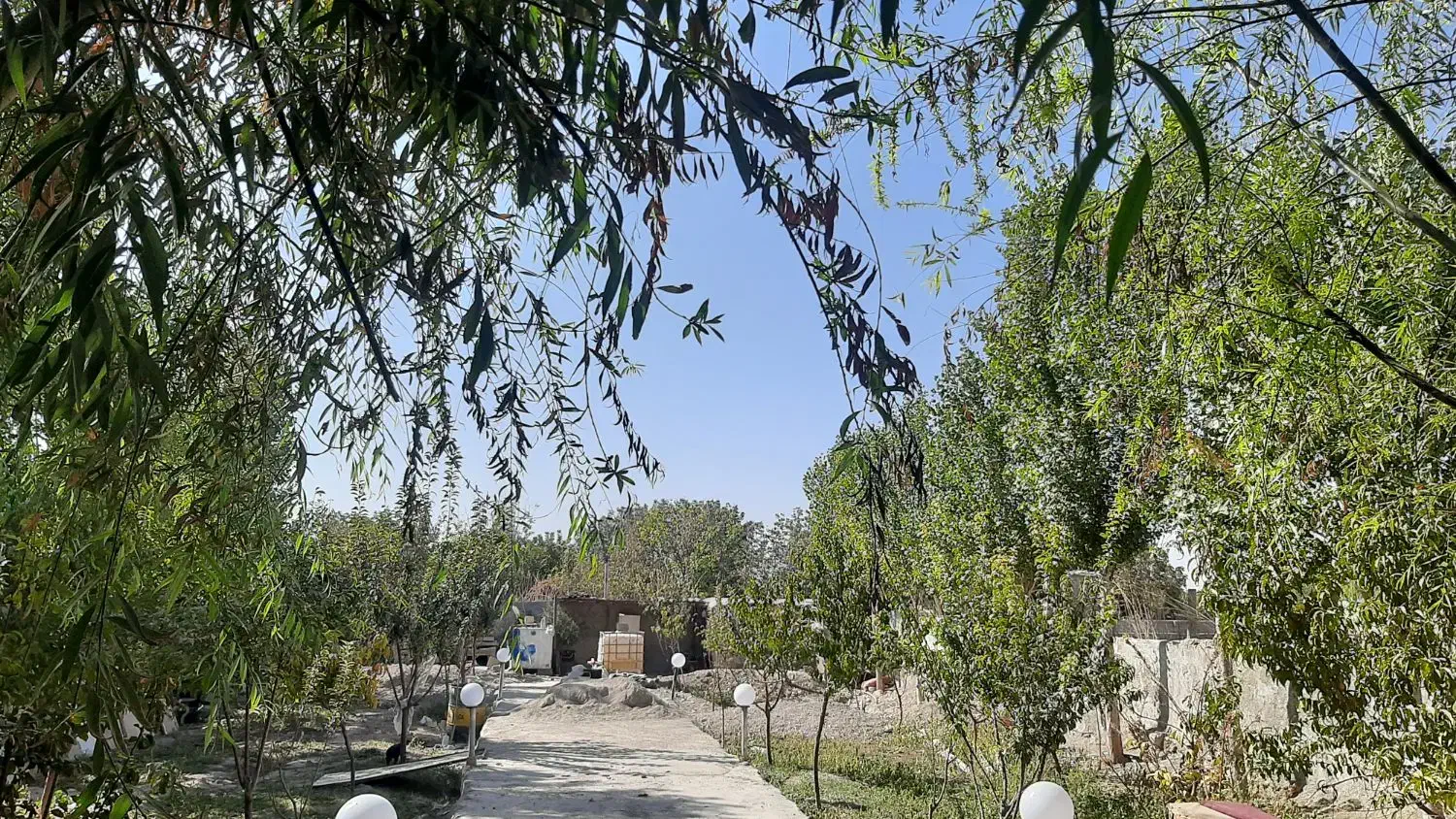 باغچه با درختان مثمر|فروش دفتر صنعتی، کشاورزی، تجاری|محمدشهر, محمدشهر|دیوار