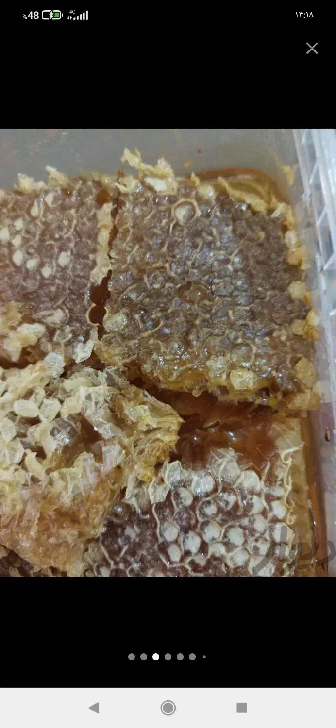 عسل صددرصدطبییعی ودرمانی|خوردنی و آشامیدنی|میانه, |دیوار