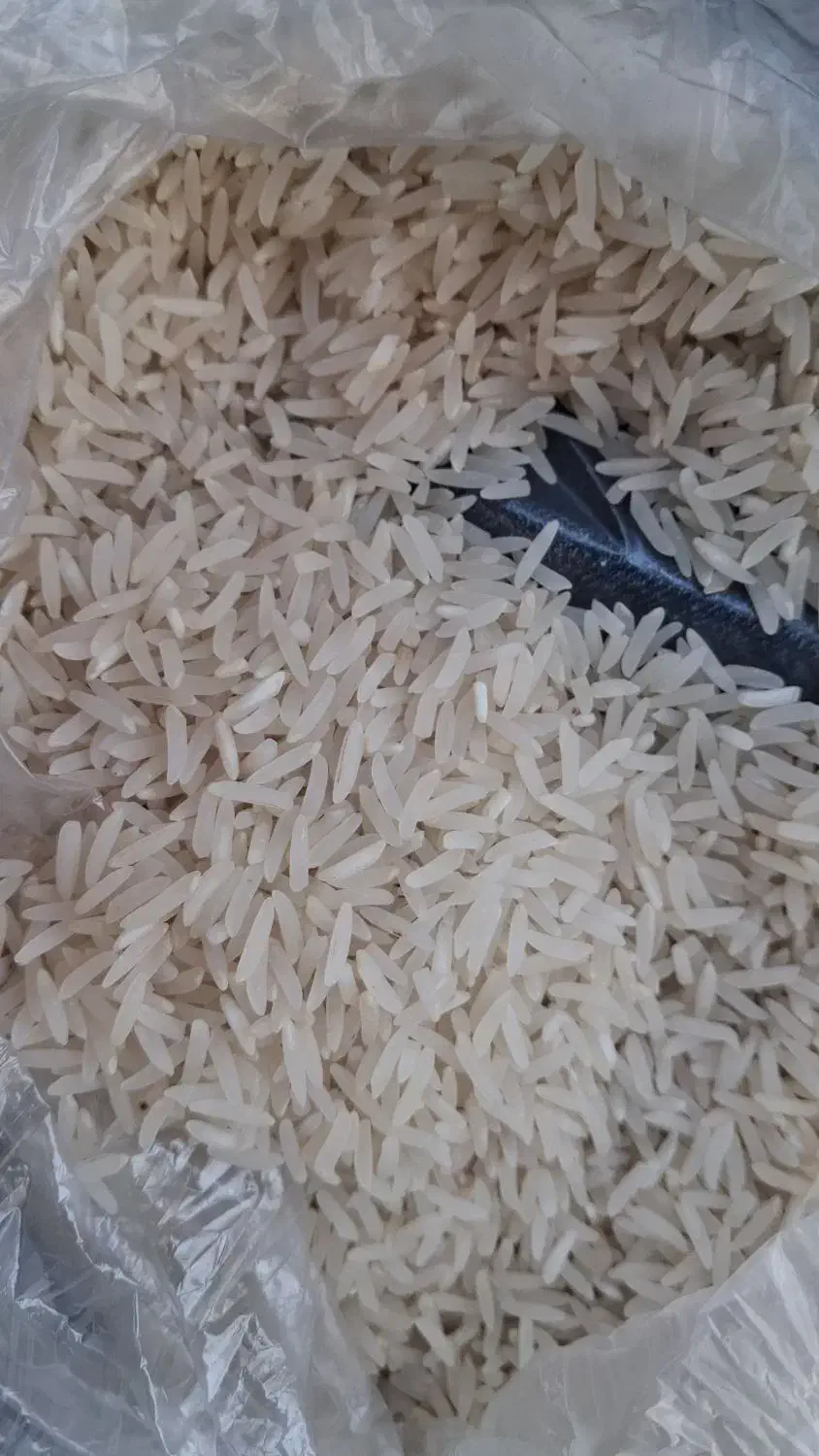 برنج فجر سوزنی ۹۰|خوردنی و آشامیدنی|آق قلا, |دیوار