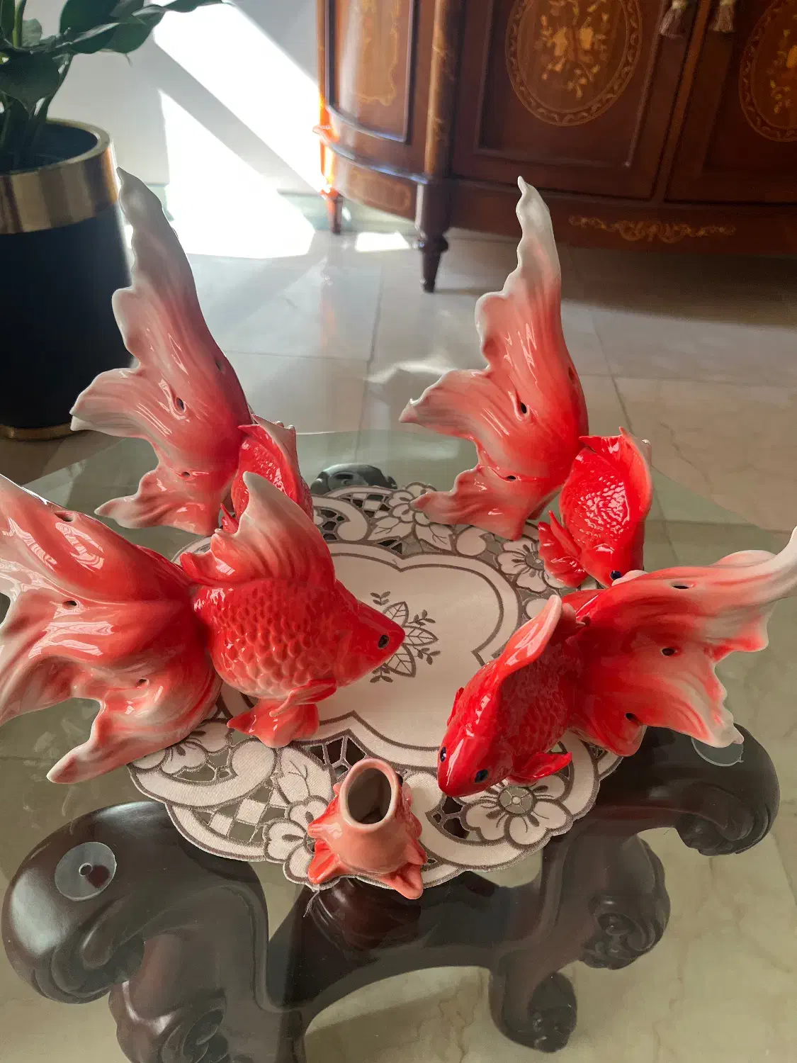 ماهی قرمز خارجی|ماهی|تهران, سهروردی|دیوار