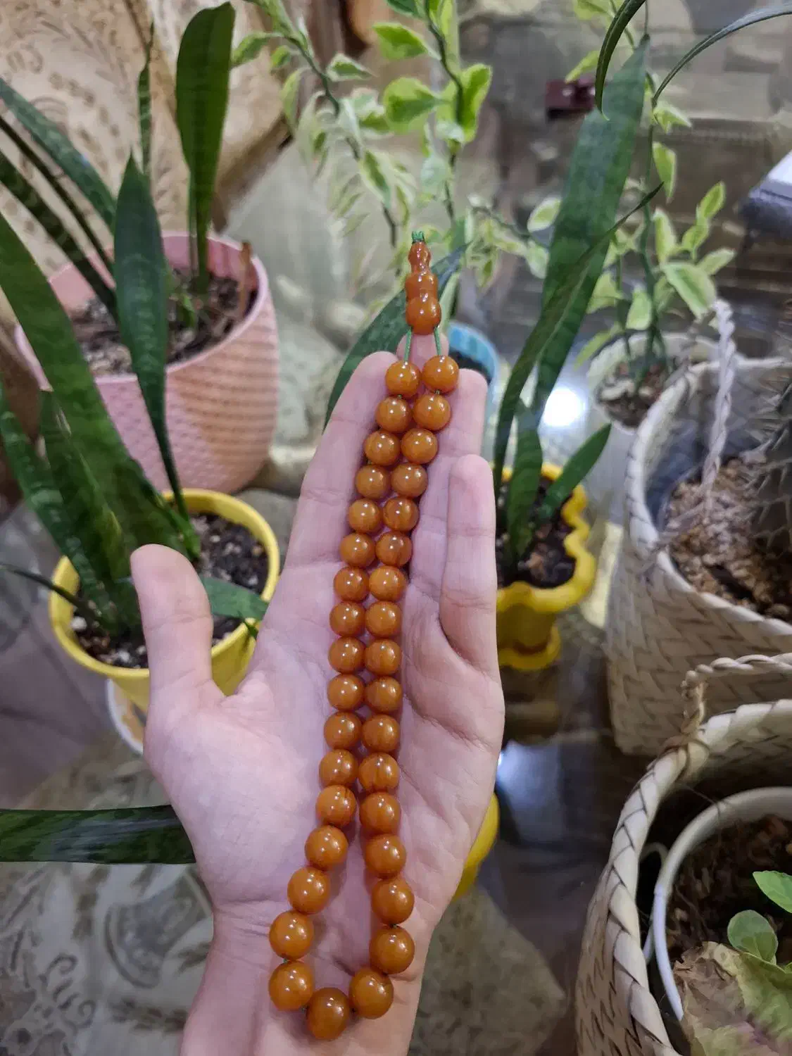 تسبیح کهربا|جواهرات|تبریز, |دیوار