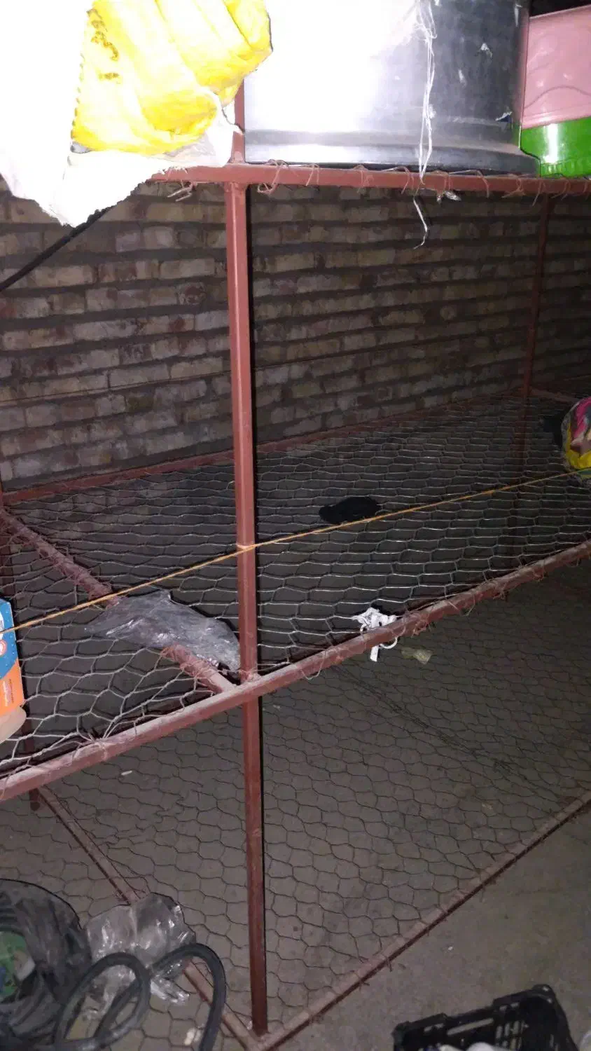 قفسه بندی|کتابخانه، شلف، قفسه‌های دیواری|خوی, |دیوار