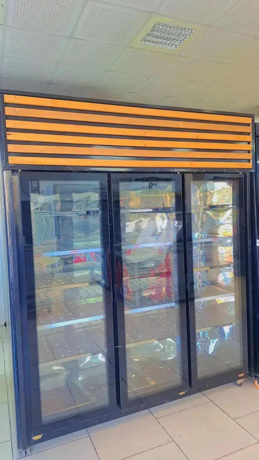 فریزر دومتری پلیت نو|فروشگاه و مغازه|قائم‌شهر, |دیوار