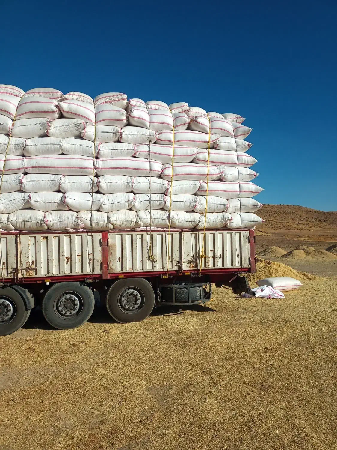 فروش دو تن کاه زرد|لوازم جانبی حیوانات|دهگلان, |دیوار