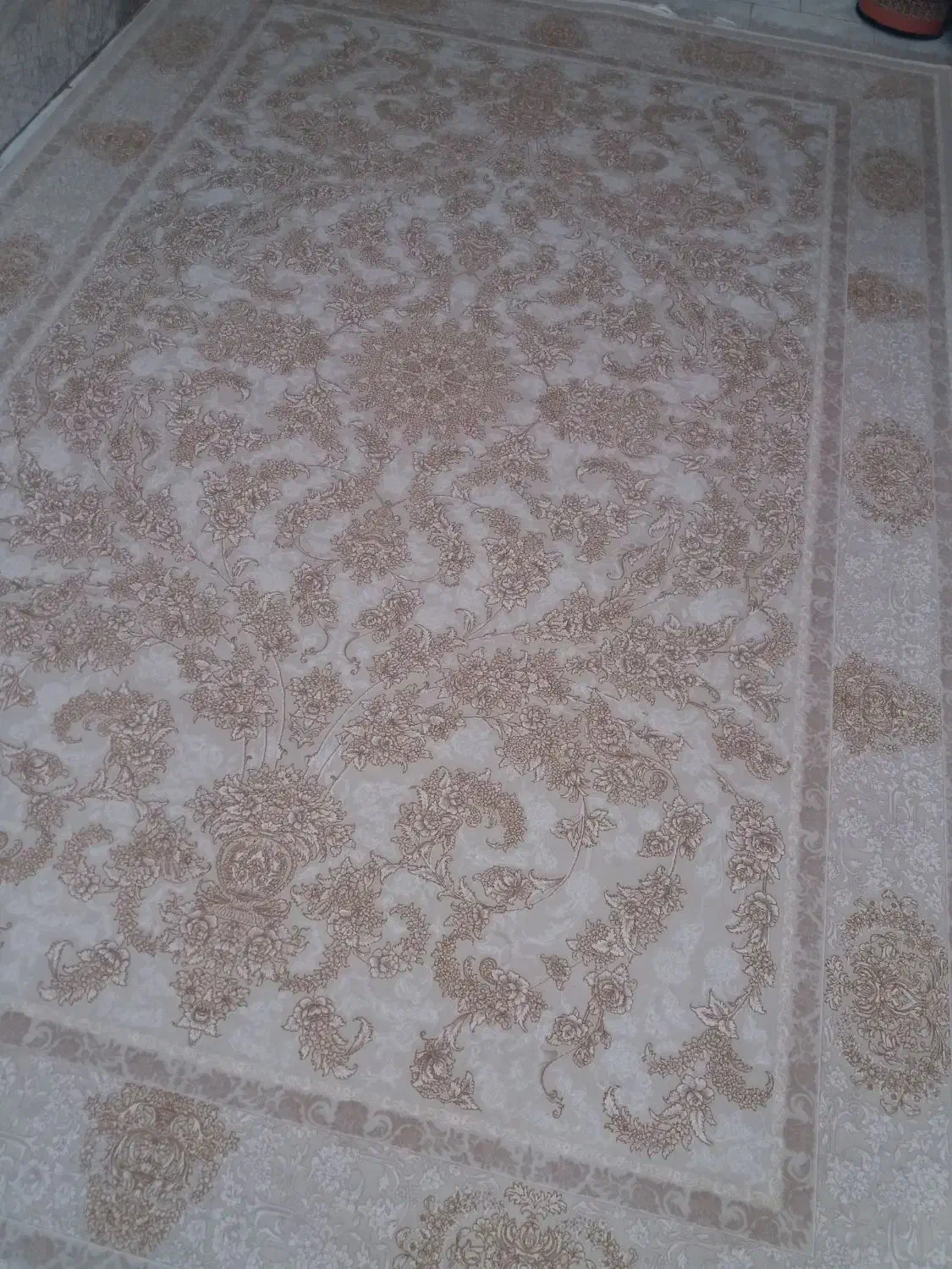 تعداد۲تخته۶متری ۱۲۰۰شانهتراکم۳۶۰۰|فرش|مهاباد (آذربایجان غربی), |دیوار