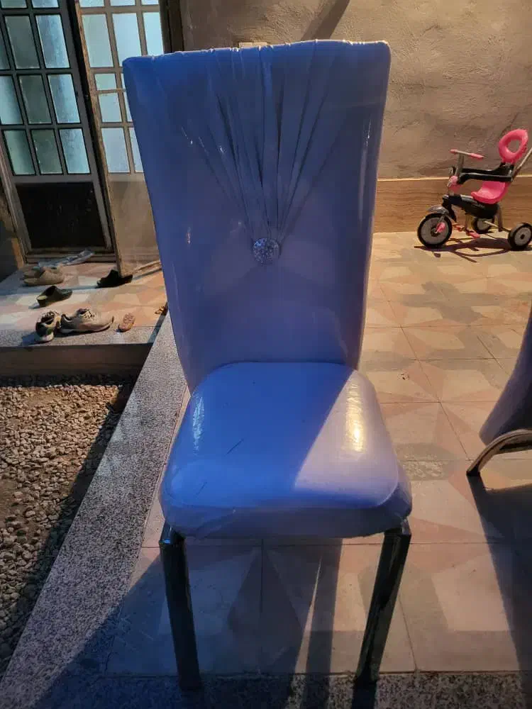 صندلی مخصوص تالار|میز و صندلی غذاخوری|شیراز, نیستان|دیوار