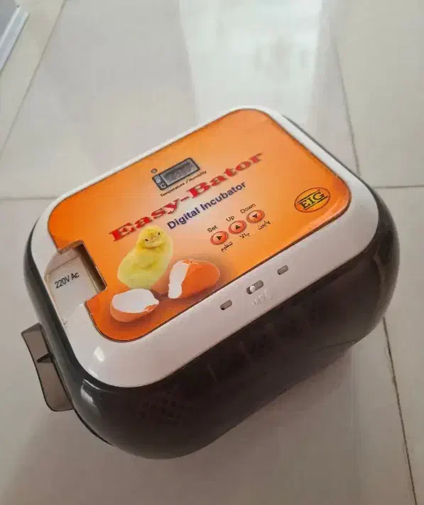 دستگاه جوجه کشی|لوازم جانبی حیوانات|بومهن, |دیوار