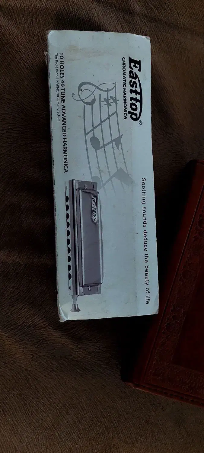 ساز دهنی|سازهای بادی|خرمآباد, |دیوار