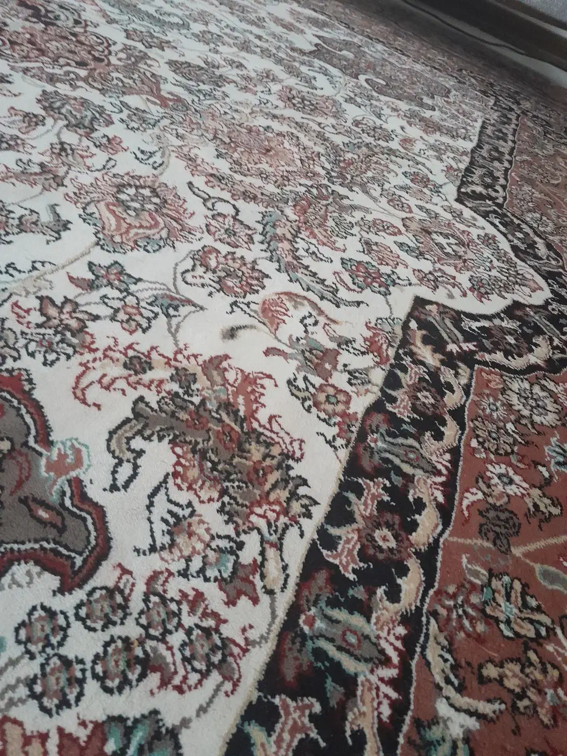 قالی|فرش|شیروان (خراسان), |دیوار