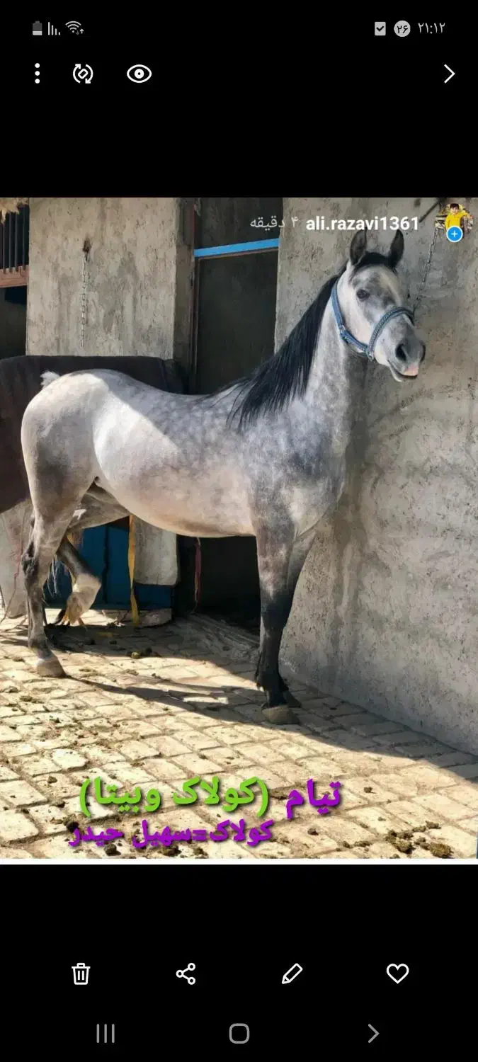 نیازمند کارگر با خانواده در خانه باغ و گوسفندداری|استخدام سرایداری و نظافت|سیرجان, |دیوار