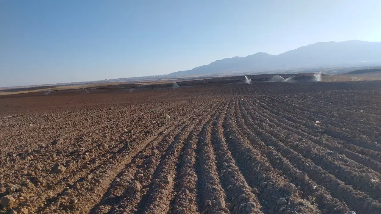 سلام زمین آبی میخام برا اجاره|خدمات باغبانی و درختکاری|سجاس رود, |دیوار