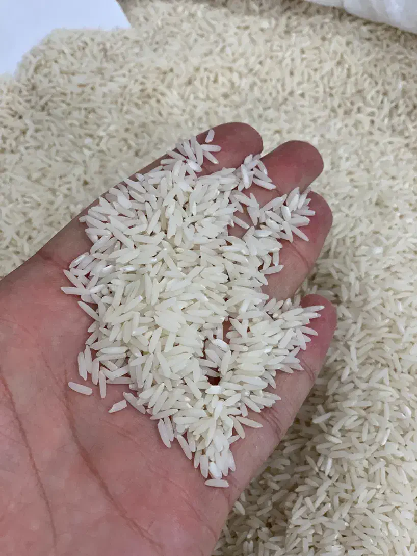 برنج صدری دمسیاه/سه الکه/معطر|خوردنی و آشامیدنی|رضوانشهر, |دیوار